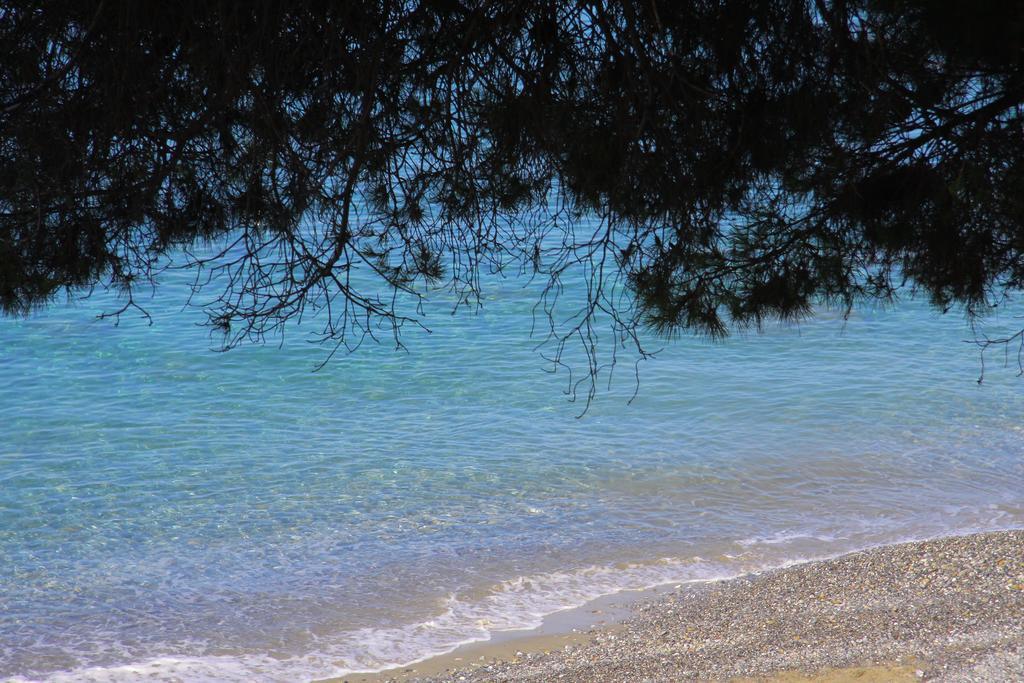 Lido Paradiso Resort Pisciotta Exterior photo