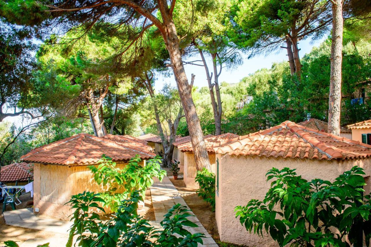 Lido Paradiso Resort Pisciotta Exterior photo